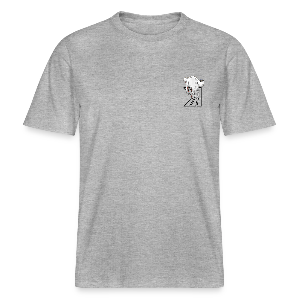 PEACE DOVE 2024 - heather grey